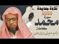 صوت يبكي القلوب سورة محمد كاملة للشيخ شيخ أبو بكر الشاطري من التراويح رمضان 2025 1446 