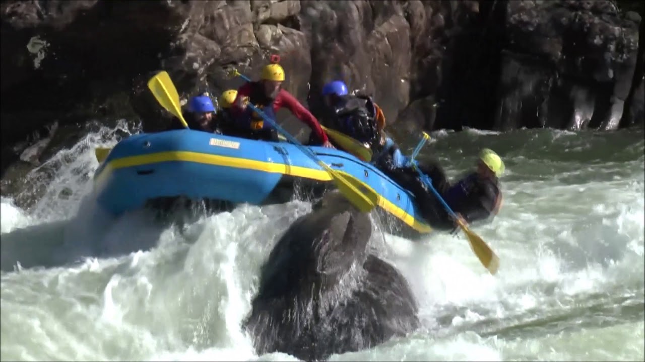 Pam Gauley River Carnage 2019 YouTube