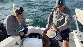 Mini Lobster Season 2024, Day 1. Simply AWESOME!