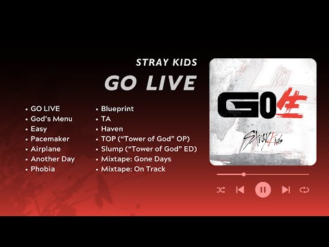 スキズ　ハン　ジソン　go life GO生　yes24 ミニポスター　特典 スキズ ハン ジソン go life GO生 yes24 ミニポスター 特典