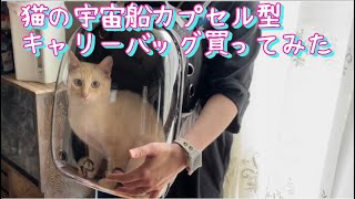 猫の宇宙船カプセル型キャリーバッグ買ってみた