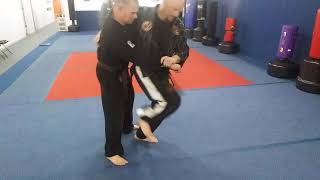 Hapkido Hip Throw(demonstration)