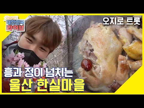 [오지로 트롯] 봄날의 꽃정우라 불러주이소~ 한실마을의 만개한 복사꽃과 영양 듬뿍 청계 백숙 한 상☆ KBS 210330 방송
