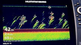 Humminbird HELIX How To: Fish ID+ Feature screenshot 2