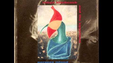 Robyn Hitchcock - She doesn