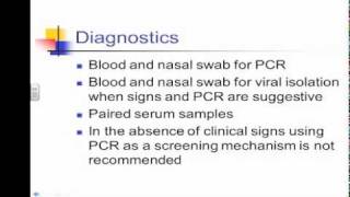 EHV-1 Informational Lecture - Part 3 of 4: Diagnosis