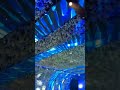 Seaside рџ пёЏTunnel Of Love By Walid Baz Seaside рџ пёЏTunnel Of Love By Walid Baz