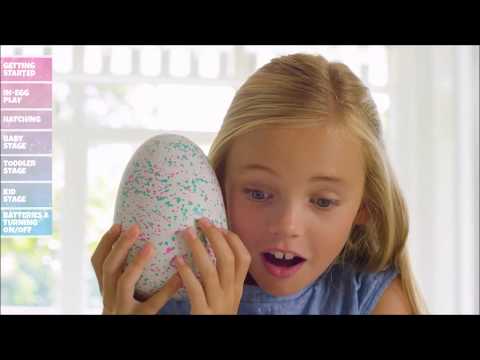 Хэтчималс (Hatchimals) - Инструкция использования