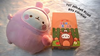 [UNBOXING] TXT MOLANG BLIND BOX FIGURINE