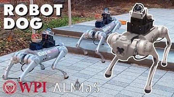 Stair Climbing Robot Dog