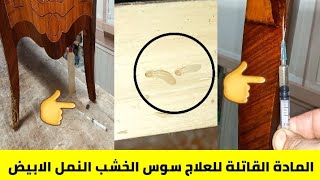 حشرة الاخشاب شكلها وعلاجه نهائيا /فيديو كامل عن اسباب تسوس الخشب/سوس الاخشاب