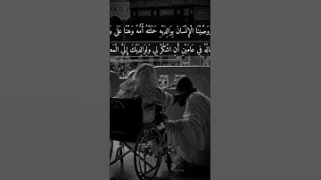 https://www.tiktok.com/@raounek66?_#سورة_لقمان #quran #islam #islamic #like