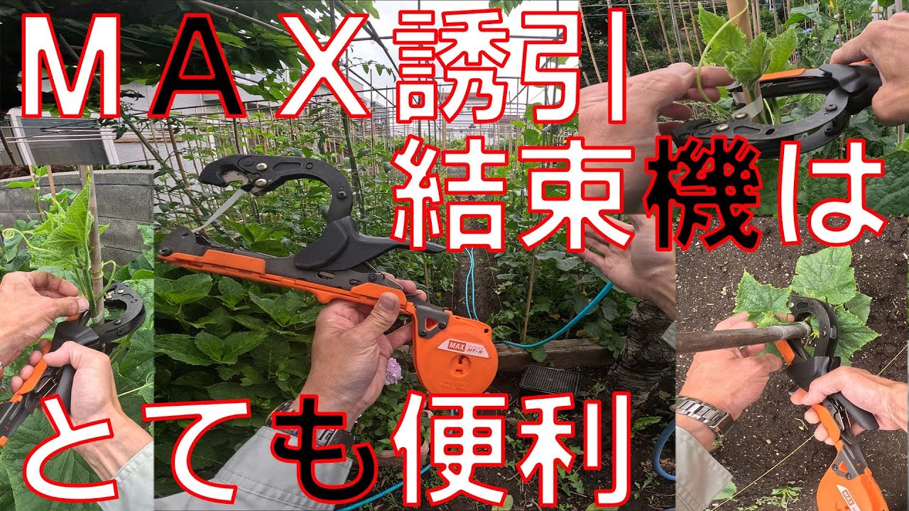 Easy Tapener] The go-to tool for training tomatoes and cucumbers