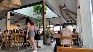 Âm thanh tiếng ồn trong quán cà phê The Coffee House | Video quán cafe có không gian đẹp