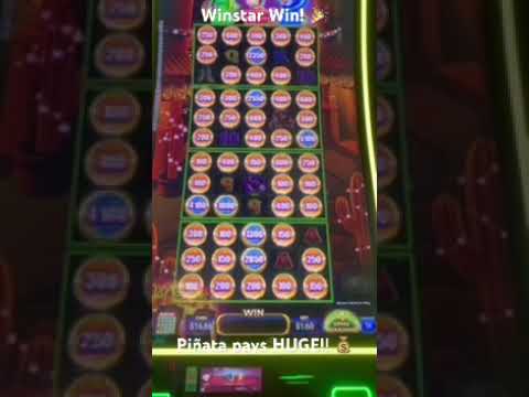 🟡 Las Vegas | Circus Circus Hotel & Casino Does Cheap Mean Bad? Lets Check Out This Underdog Casino!