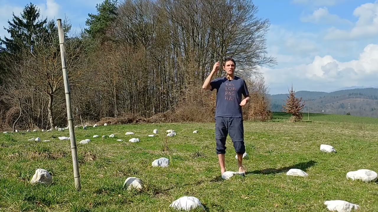 PODZAVEST - REGRESIJA