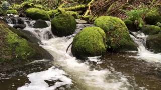 Where are the best waterfalls in Whatcom County?