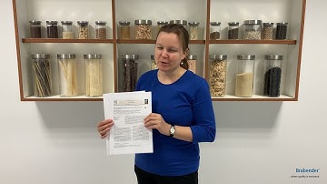 Study on meat analogues based on fava bean protein