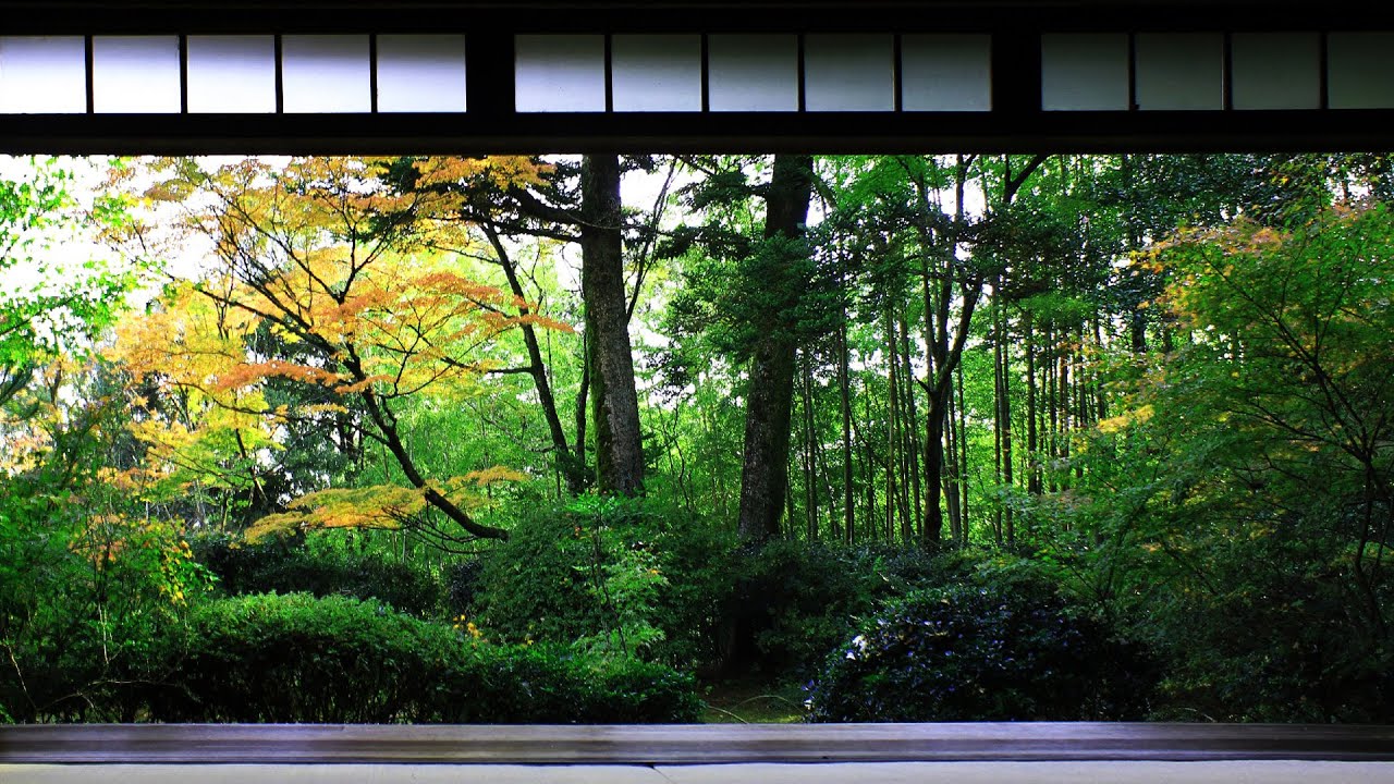 1 HOUR Japanese Temple Bell Sound At 'Hondo' for Relaxing ,Healing And Zen YouTube