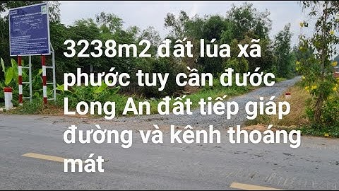 3238m2 đất lúa khu vực được chuyển thổ cư || xã Phước Tuy cần đước Long An.