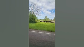 When the GPS take u the Wrong Way Part.Two🆒️😎🎬