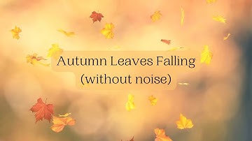Autumn leaves falling for 2 HOURS (Visual Only)