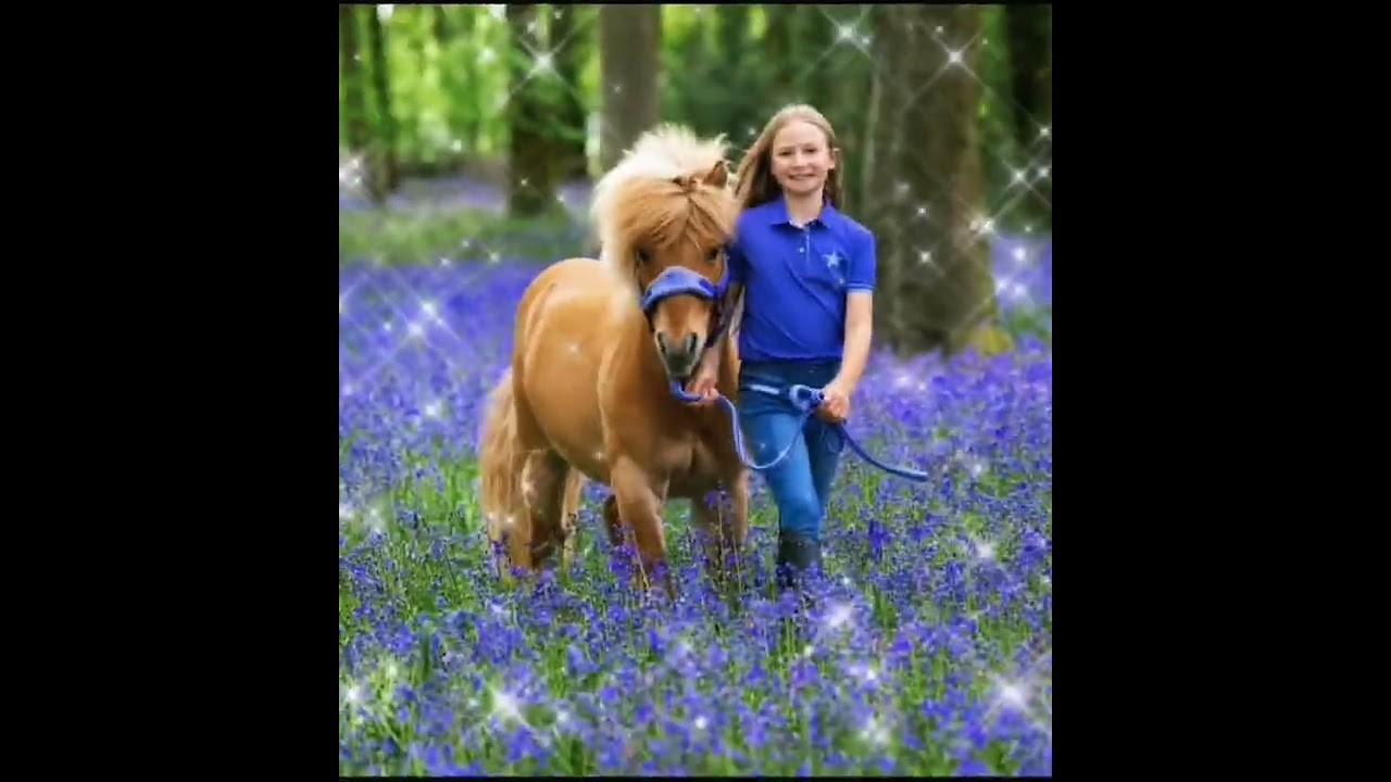 Popcorn Horse Harlow Popcorn Horse Harlow