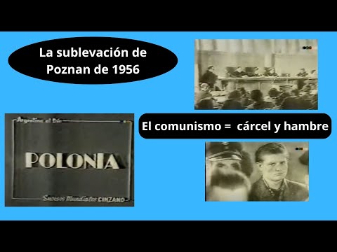 Video: Ideologización De La Vida. 