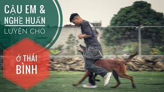 Đi Thái Bình thăm Cậu Em Khởi Nghiệp với nghề Huấn Luyện Chó / NhamTuatTV  Dog in Vietnam