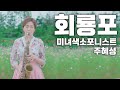 회룡포 (김희재)-미녀색소포니스트 주혜성의 맛깔나는 연주! 국악풍 색소폰연주 맛집♡