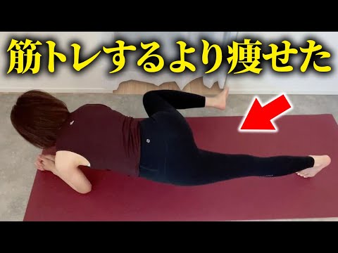 年中ダイエット肥満体型 様 ヒルズ サイエンス・ダイエット 肥満傾向の成犬用 アダルト