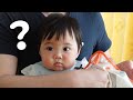 【生後286日】パパワンオペDAY!ちょっぴり慌てるパパとマイペースな娘のいちにち (Day 286. Ponu and daddy's day)