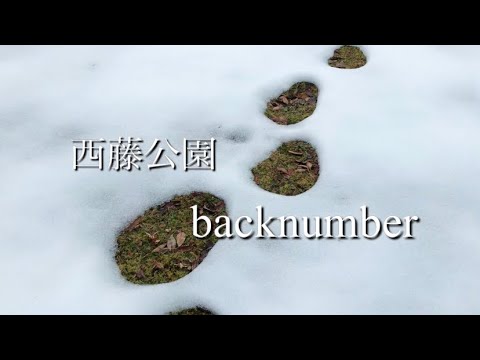 【弾き語り】西藤公園/backnumber