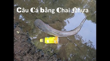 Câu cá bằng chai nhựa, dính toàn cá khủng/ fishing with plastic bottles