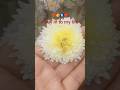 #Aday in my life #youtubeshorts #explore with Tripathy's