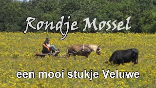 Rondje Mossel op de Veluwe by Arie Verhoef 149 views 2 years ago 8 minutes, 40 seconds