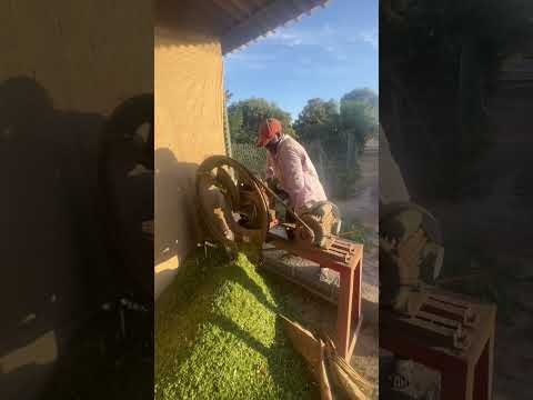 مكينه قص الحشيش للبقر