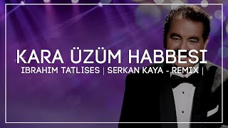 İbrahim Tatlıses - Kara Üzüm Habbesi | Serkan Kaya - Remix | Resimi