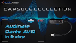 Adattatore interfaccia Dante AVIO - 1 uscita audio analogica Video