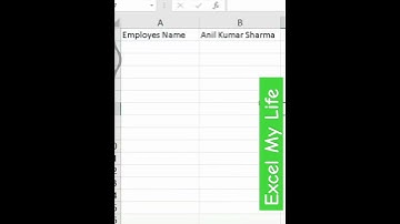 How to Autofit Columns and Rows in Excel Using VBA | Excel VBA Tutorial