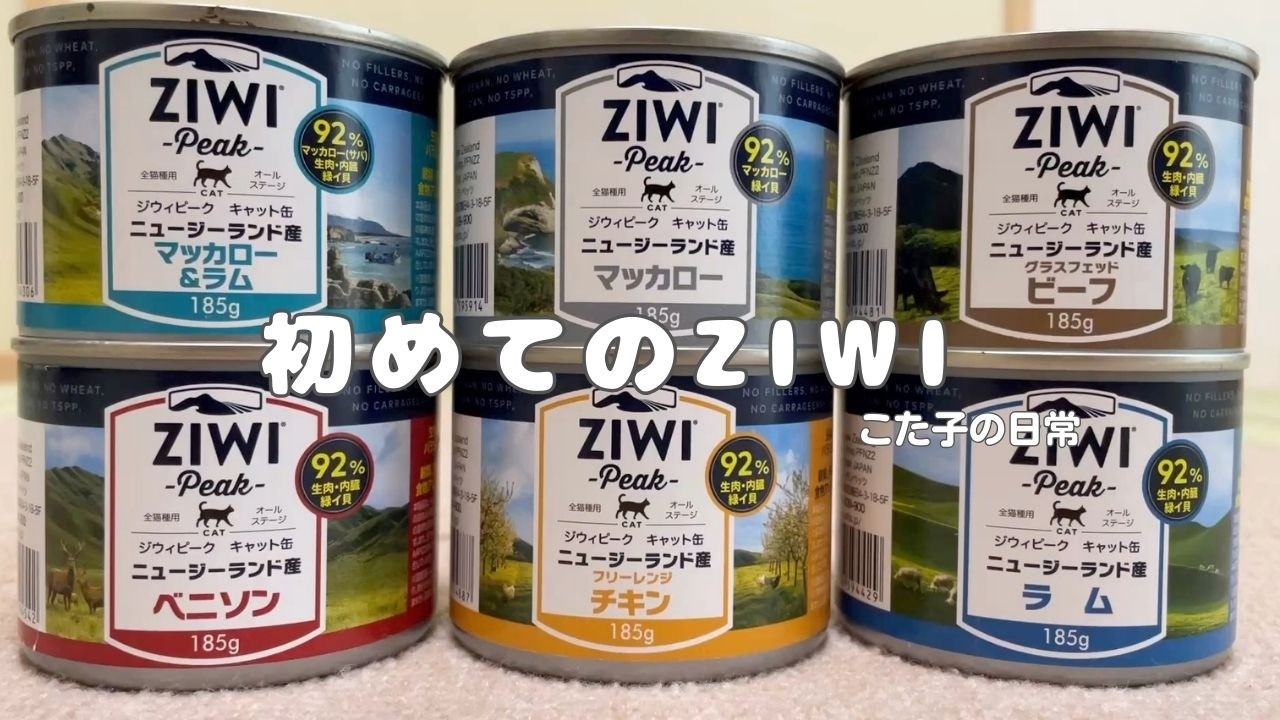 【初めてシリーズ】ネコ様初めてのZIWI