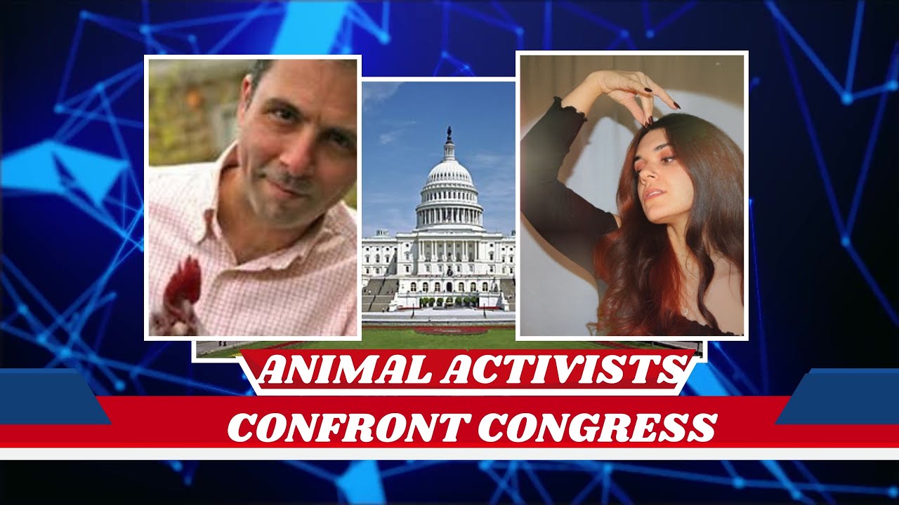 Animal Activists Confront Congressmembers!