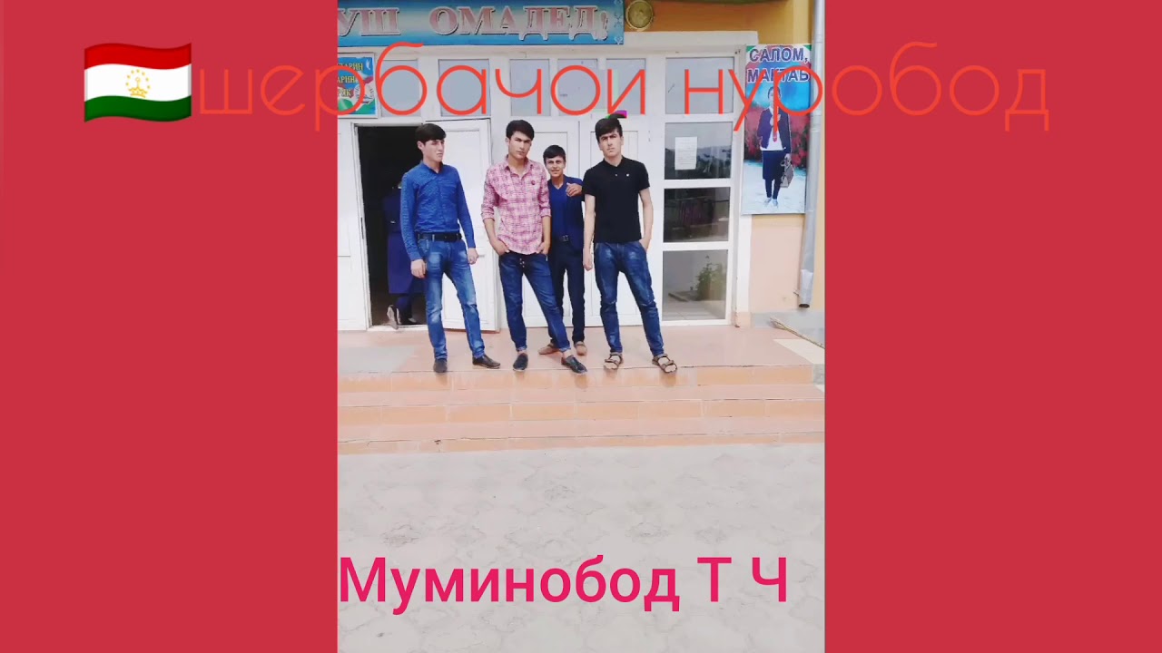 Авто мактаб тестлари