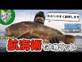 潮目を狙え！！【誰でも簡単！ボート釣りのポイント選び方、操船方法】