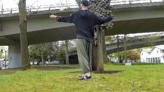 LORQ:TECH #30: ~Toroid Flowers: Antibend C.A.P.'s~