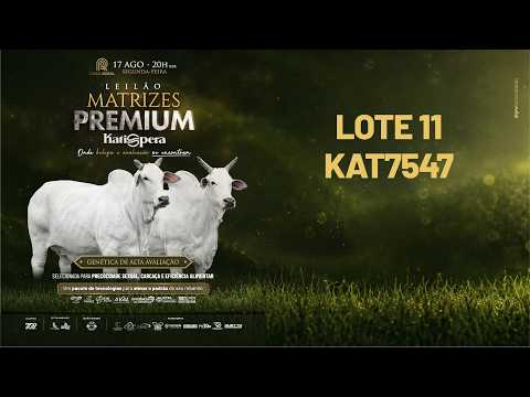 LOTE 11   KAT 7547