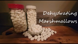 Dehydrating Marshmallows ~ Great for Cereal & DIY mixes