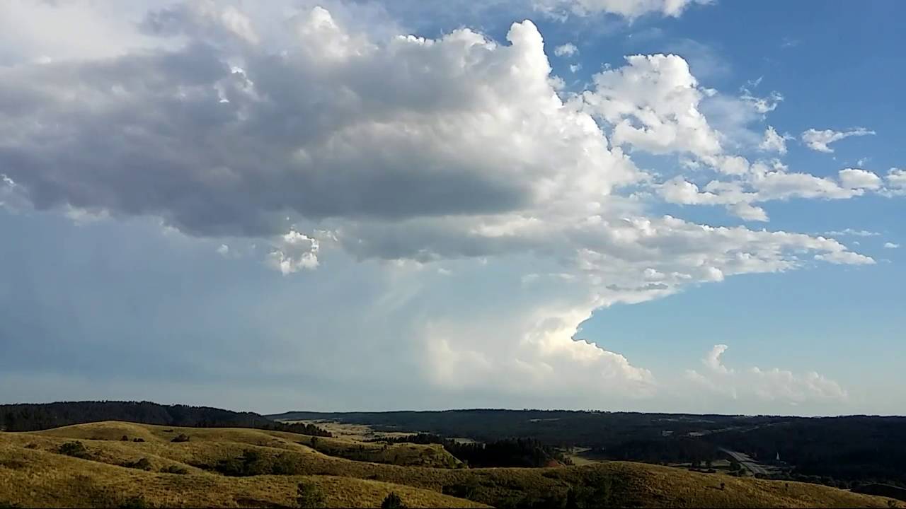 Unedit cb capillatus