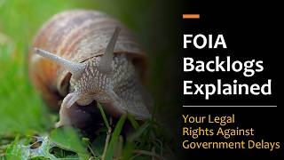 FOIA Backlogs Explained: Your Legal Rights Against Government Delays