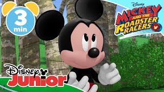 Mickey And The Roadster Racers Mickeys Ukulele Disney Kids